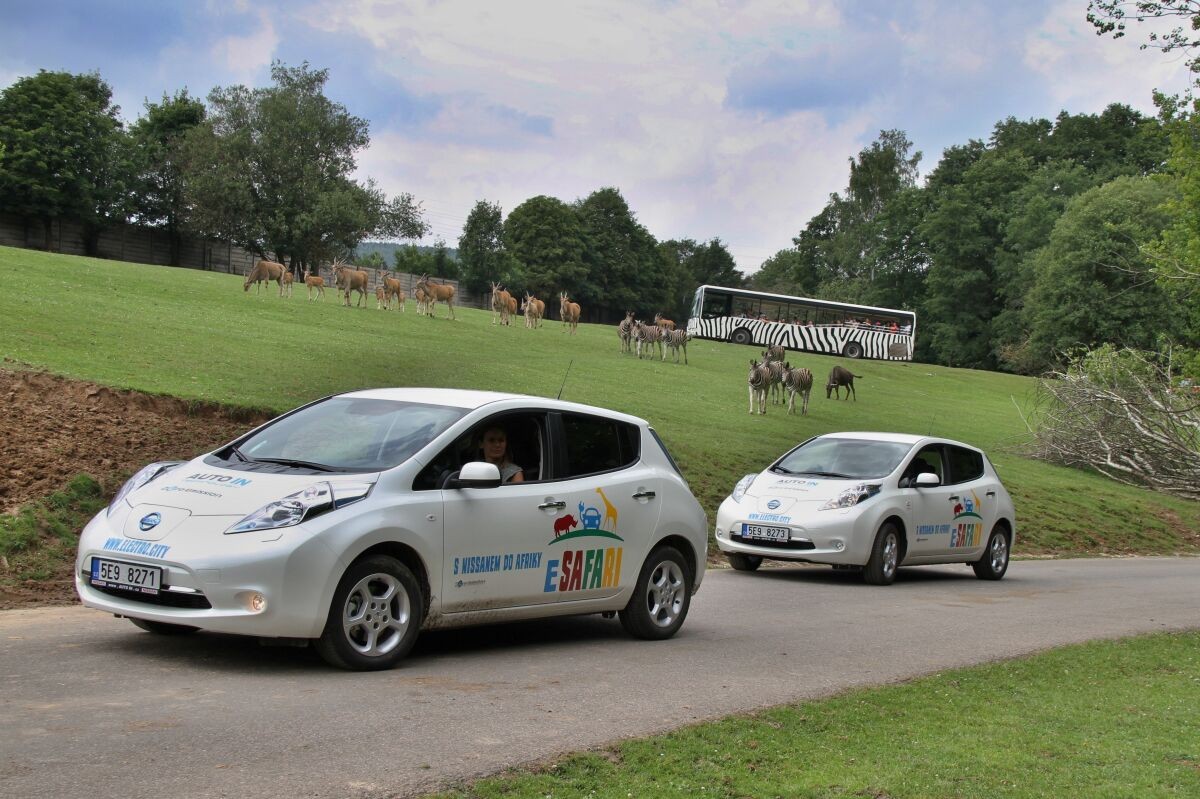 ZOO Dvůr Králové a Nissan představily nový projekt E-safari na podporu provozu elektromobilů / Foto zdroj: NISSAN
