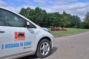 ZOO Dvůr Králové a Nissan představily nový projekt E-safari na podporu provozu elektromobilů / Foto zdroj: NISSAN