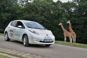S Nissanem do Afriky o víkendu 26. - 27. srpna v ZOO Dvůr Králové / Foto zdroj: NISSAN