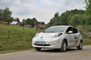 S Nissanem do Afriky o víkendu 26. - 27. srpna v ZOO Dvůr Králové / Foto zdroj: NISSAN