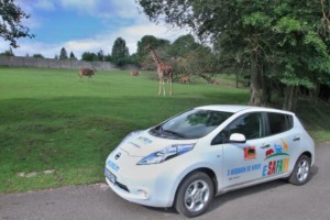 S Nissanem do Afriky o víkendu 26. - 27. srpna v ZOO Dvůr Králové / Foto zdroj: NISSAN