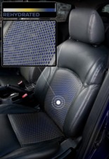 Pijte za volantem: Nissan poukazuje na nebezpečí dehydratace řidičů / Foto zdroj: NISSAN