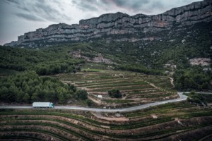 Světová premiéra: Nová nákladní vozidla Volvo Trucks s plynovým pohonem produkují o 20–100 % méně emisí CO2 / Foto zdroj: Volvo Group Czech Republic, s.r.o.